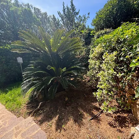 Hotel Incantevole A Porto Cervo. Porto Cervo